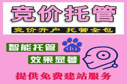 信息流广告投放策略：实战案例与优化路径